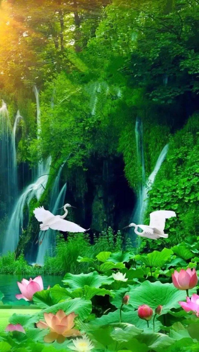 幻世录2