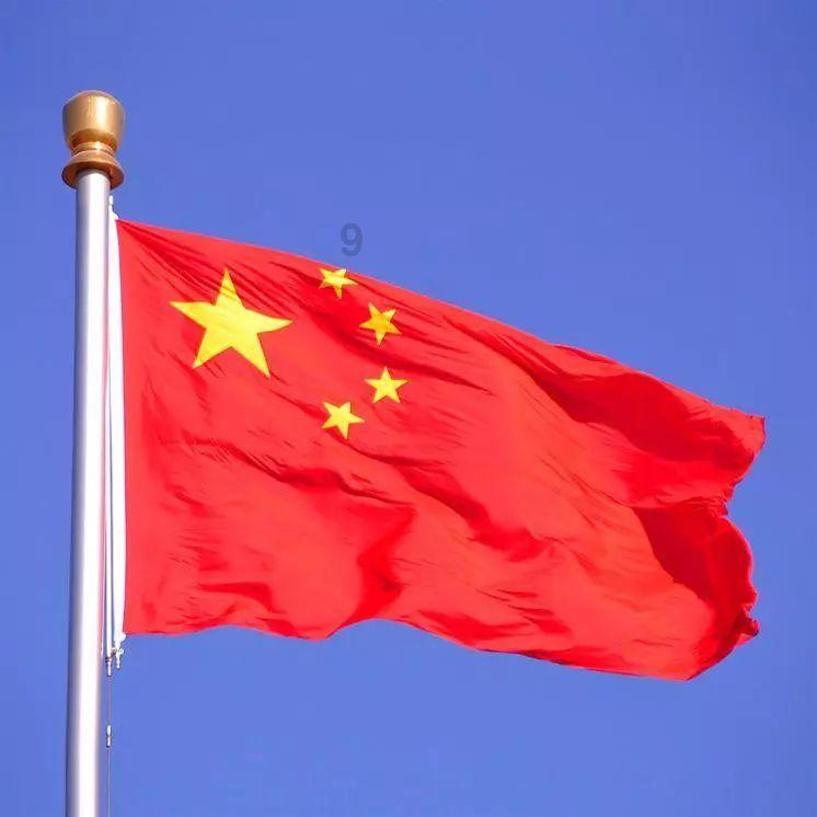 细胞分裂5